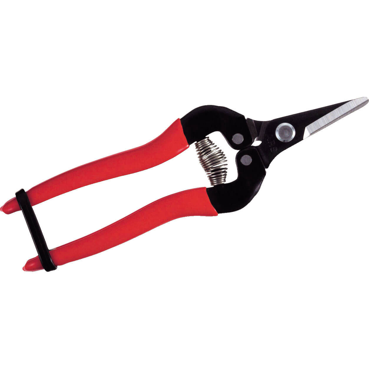 Image of ARS 300SS Short Blade Fruit Pruner 170mm Long