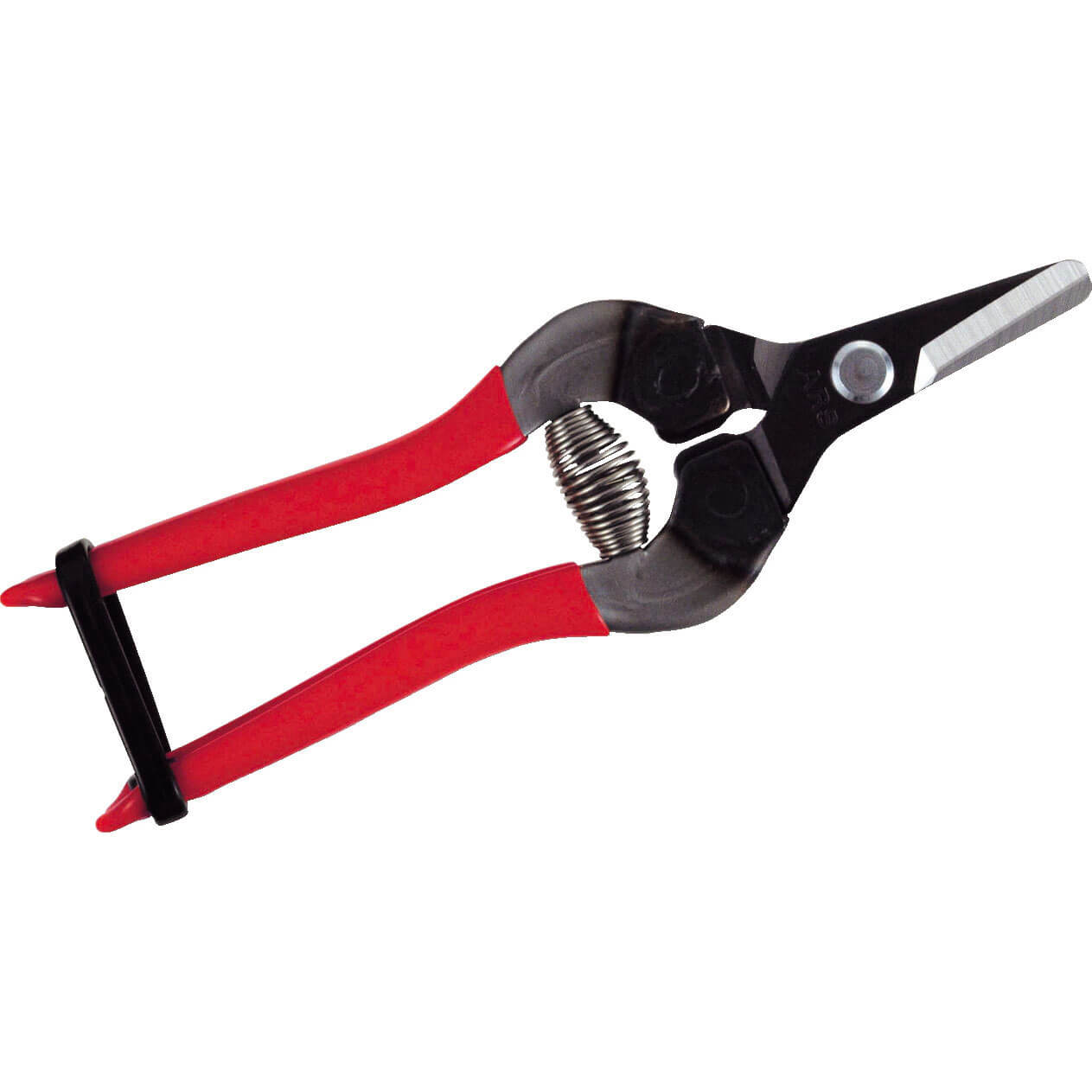 Image of ARS 310T Blade Fruit Pruner 160mm Long