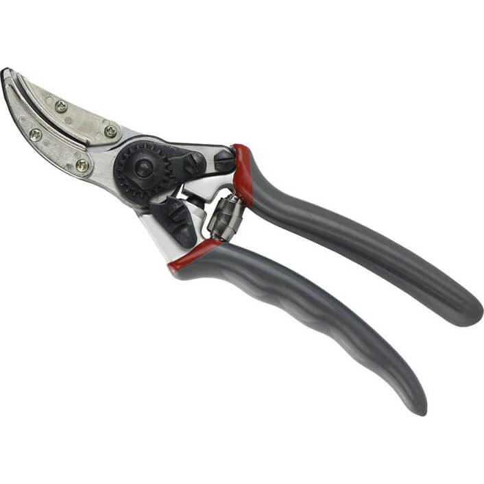 Image of Kent and Stowe Rose Bud Cut and Hold Bypass Secateurs 200mm Long