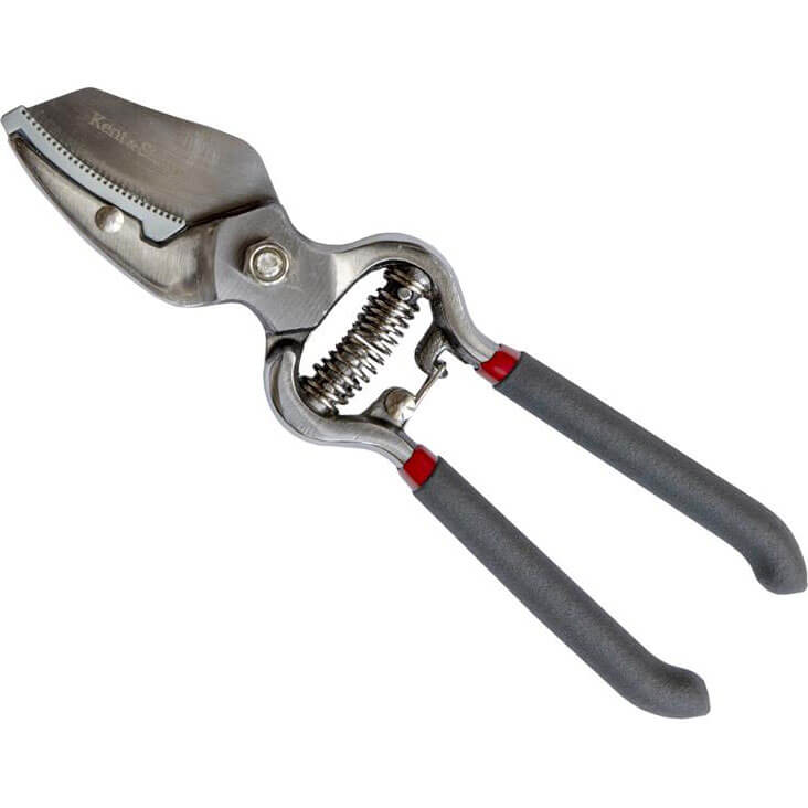 Image of Kent and Stowe Traditional Anvil Secateurs 8mm Max Cut 200mm Long